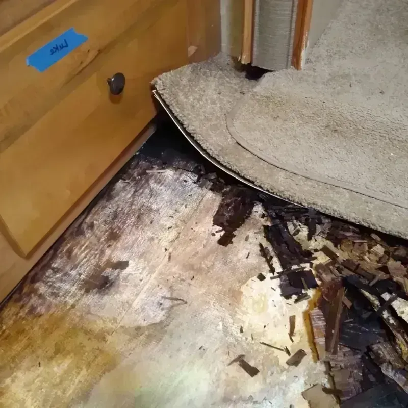 Wood Floor Water Damage in Clarke County, AL